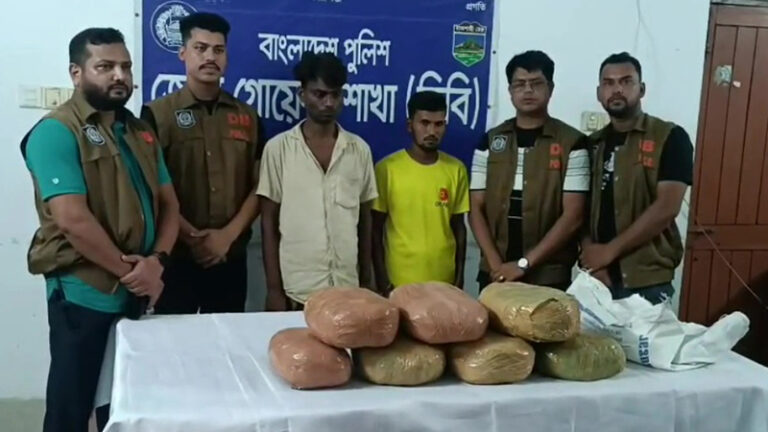 নাটোরে পৃথক দুই অভিযানে ১৭৪ কেজি গাজা উদ্ধার,
