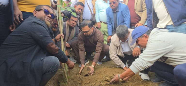 তারেক রহমানের গণসংবর্ধনায় ক্ষতিগ্রস্ত স্থানে বৃক্ষ রোপন কর্মসূচি বিএনপির