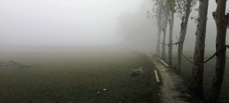 গাইবান্ধায় শীতের তীব্রতা বৃদ্ধি অব্যাহত